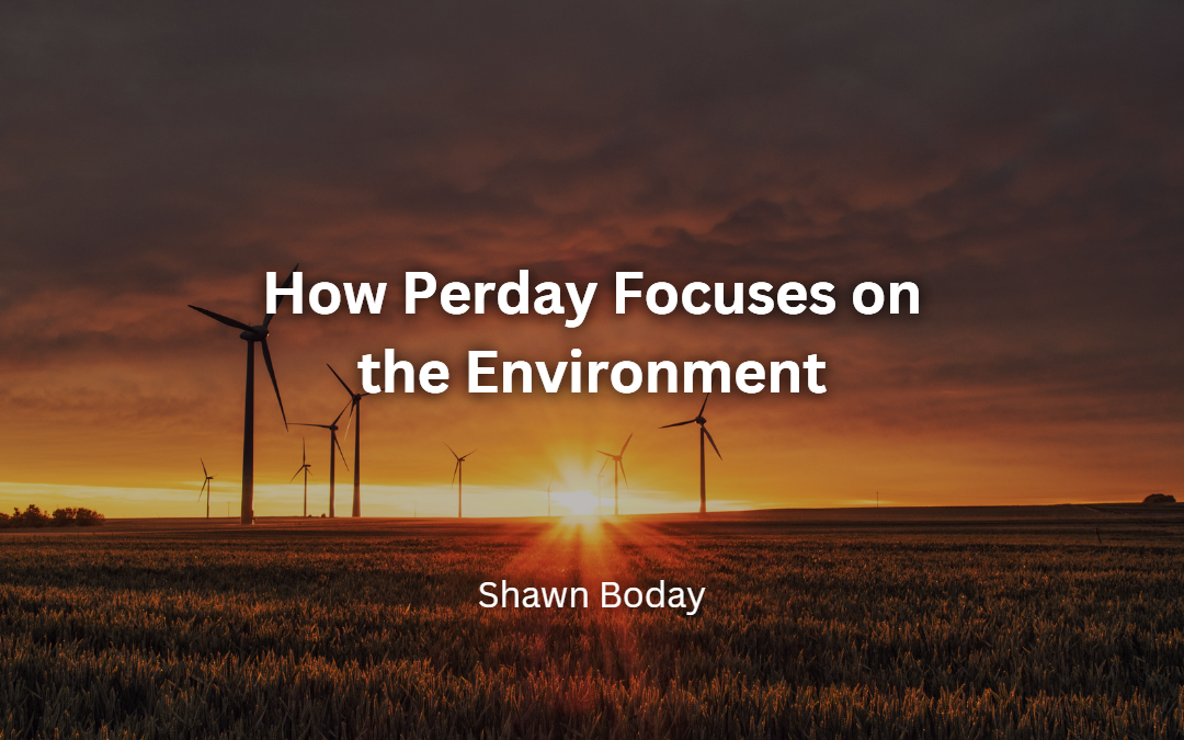 How Perday Focuses on the Environment
